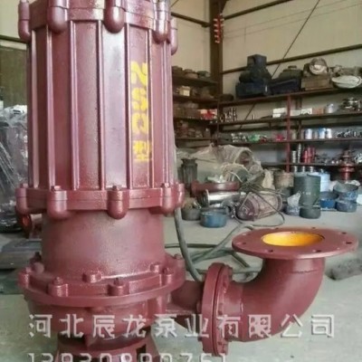 辰龙泵业350ZJQ-A51 机械密封件潜水渣浆泵使用说明书重型渣浆泵图4