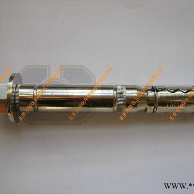 供应力王LZX重型全膨胀锚栓 幕墙配件 预埋件 m6膨胀螺丝
