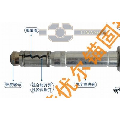 供应力王LZX重型全膨胀锚栓 幕墙配件 预埋件 m6膨胀螺丝图2