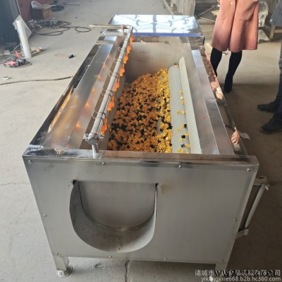 义康牌MQX-1500型 大姜清洗机  洋姜清洗机  螺丝菜清洗机   根茎类清洗机图2