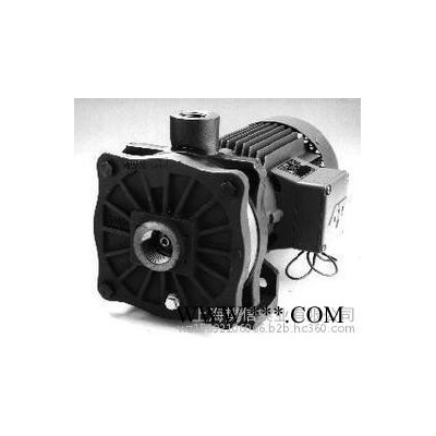 德国 Speck 转子叶轮泵   DS-120-MK.0024图2