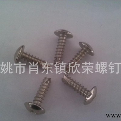 大扁头自攻螺丝,十字槽自攻螺丝,自攻螺丝,大扁头螺丝,十字槽螺丝2图3