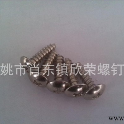 大扁头自攻螺丝,十字槽自攻螺丝,自攻螺丝,大扁头螺丝,十字槽螺丝2