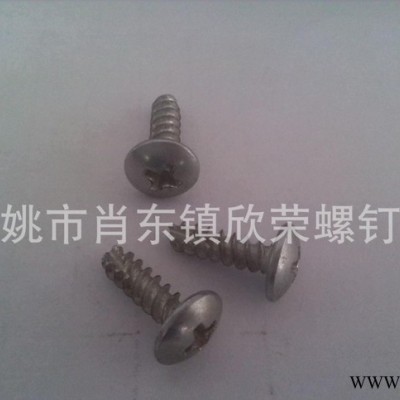 大扁头自攻螺丝,十字槽自攻螺丝,自攻螺丝,大扁头螺丝,十字槽螺丝