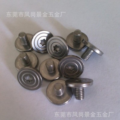 东莞凤岗景金五金厂专业生产电子螺丝 不锈钢螺丝 玩具螺丝图3