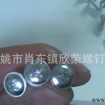 盘头自攻螺丝,十字槽自攻螺丝,自攻螺丝,盘头十字槽螺丝,十字槽螺图2