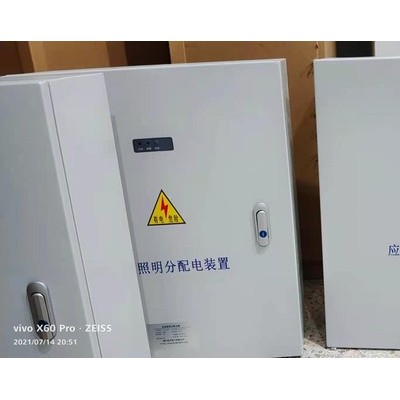 久久电气0.5KVA 西安应急照明配电箱图1