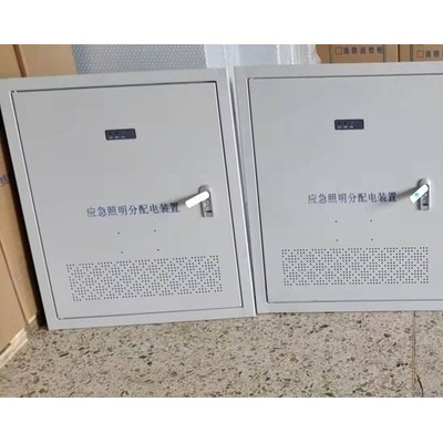 久久电气0.5KVA 西安应急照明配电箱图2