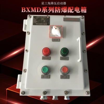 首安防爆BXMD 防爆配电箱 防爆照明配电箱 防爆动力配电箱 防爆箱图4