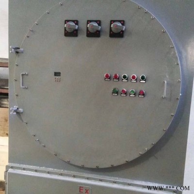 防爆配电箱 BXK58型防爆电表箱 铝合金防爆配电箱价格图3