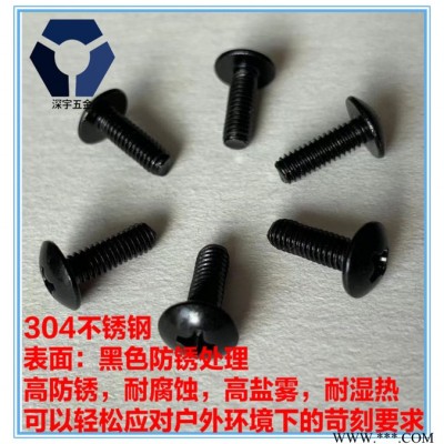 304黑色不锈钢螺丝/高盐雾黑锌螺丝/LED螺丝/耐腐蚀达克罗图5