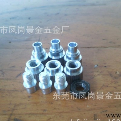 专业生产非标螺丝，自攻螺纹，螺丝定做，压铆螺丝灯饰类五金加工图2