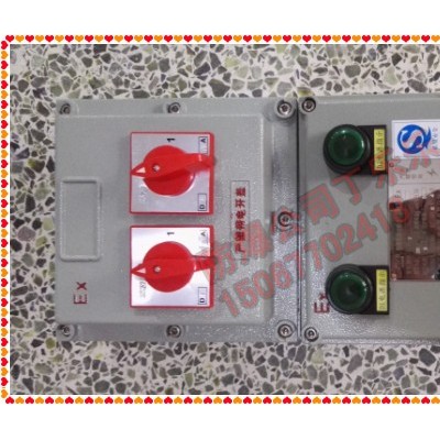 2路防爆照明配电箱 2路防爆配电箱 BXM-2 BXM61-2防爆照明配电箱图1