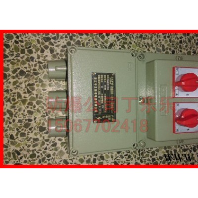 2路防爆照明配电箱 2路防爆配电箱 BXM-2 BXM61-2防爆照明配电箱图3