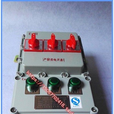 BXM51-3防爆照明配电箱生产商 BXM51-3K防爆照明配电箱EXdeIIBT4图2
