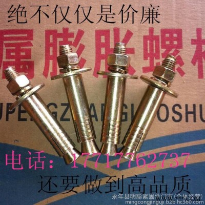 厂价现货电梯膨胀 电梯专用膨胀螺丝 电梯壁虎 电梯膨胀栓 电梯锚固螺丝 电梯螺丝M16*125图1