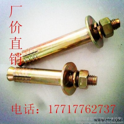 厂价现货电梯膨胀 电梯专用膨胀螺丝 电梯壁虎 电梯膨胀栓 电梯锚固螺丝 电梯螺丝M16*120图2