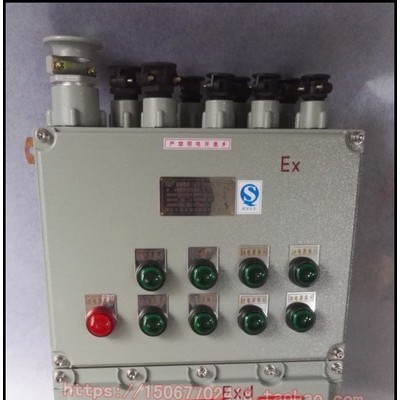 1进8出防爆照明动力配电箱 BXMD-8K防爆配电箱 8K防爆电器开关箱