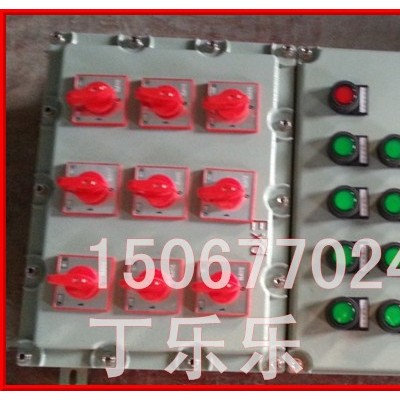 1进8出防爆照明动力配电箱 BXMD-8K防爆配电箱 8K防爆电器开关箱图3