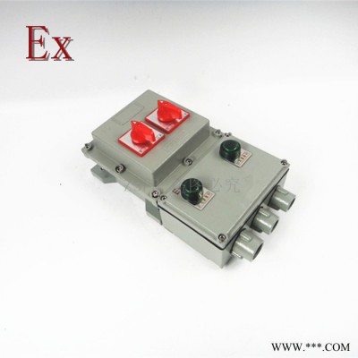 防爆控制箱两回路 BXMD32A/2P配电箱 2路防爆照明配电箱EXdeIIBT4 WF1 IP54图2