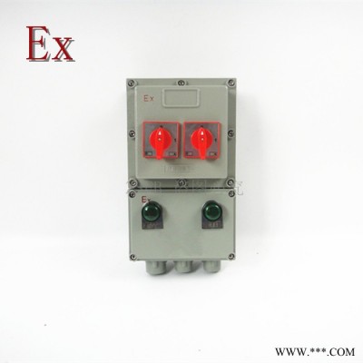 防爆控制箱两回路 BXMD32A/2P配电箱 2路防爆照明配电箱EXdeIIBT4 WF1 IP54