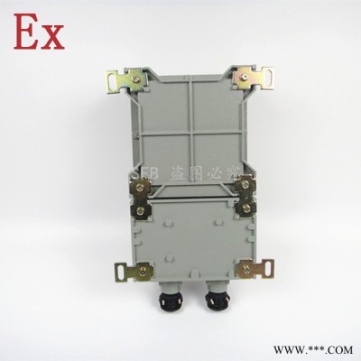 防爆控制箱两回路 BXMD32A/2P配电箱 2路防爆照明配电箱EXdeIIBT4 WF1 IP54图3