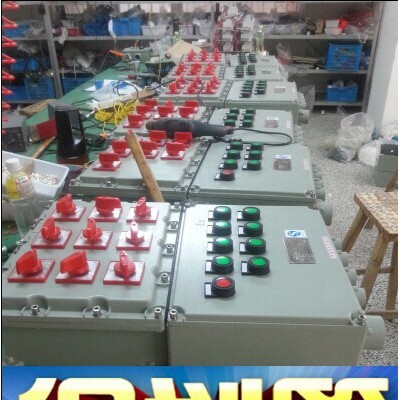 BXM58-8K防爆照明配电箱开关箱 BXM58-8K防爆照明配电箱EXdeIICT5图2