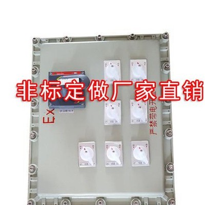 防爆配电箱 防爆配电箱BXD非标订做证书齐全图3