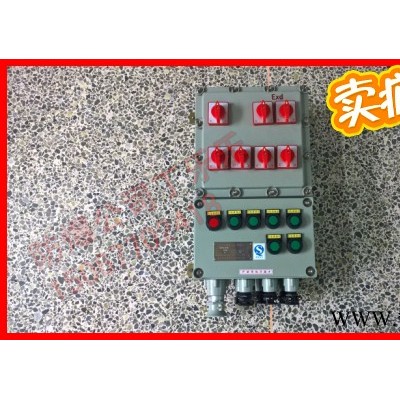 BXM58-6K防爆照明配电箱EXdeIIBT5 6路16A总开63A防爆照明配电箱