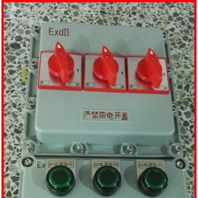 3路防爆配电箱 BXMD51-3 BXMD51-3K BXMD-2K防爆照明动力配电箱