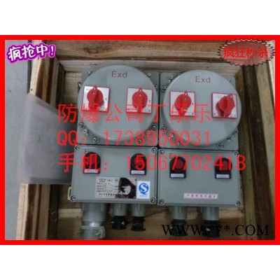 BXMD58-3K防爆照明动力配电箱制造商 1进3出防爆配电箱EXdeIIBT5图3