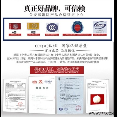 应急照明配电箱 A型照明集中电源 智能照明疏散系统图3