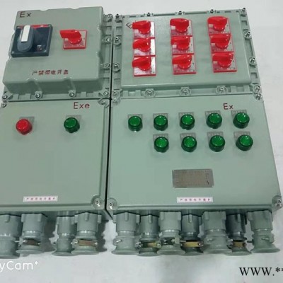 防爆开关箱 XDMB58-10K防爆配电箱 XDMB-10K防爆照明动力配电箱**图3