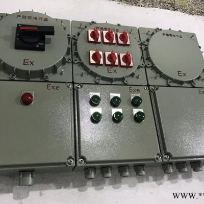 防爆开关箱 XDMB58-10K防爆配电箱 XDMB-10K防爆照明动力配电箱**图4