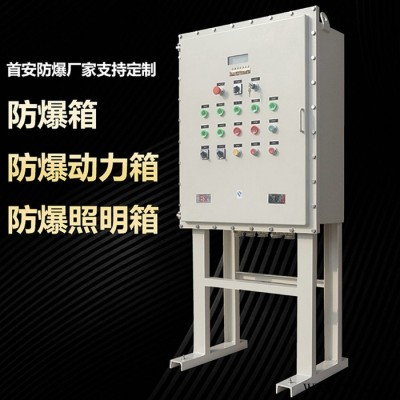 首安防爆BXK防爆箱 防爆控制箱 防爆配电箱 防爆控制柜 防爆配电柜图6