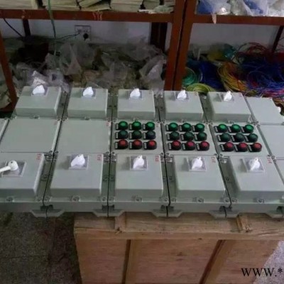 工业化工BXMD防爆动力配电箱 锅炉房内防爆照明配电箱 防爆远程操作箱 防爆磁力起动箱图3