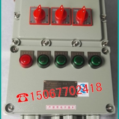BXMD-T防爆配电箱照明动力回路 浙江防爆照明动力配电箱直销图3