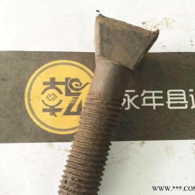 制造：环保设备用方头螺丝 高强度螺丝 M22*100图2