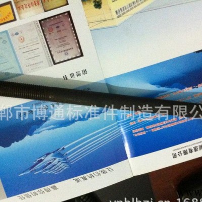 螺丝厂专业 六角螺丝 超长超大螺丝 煮黑六角螺栓