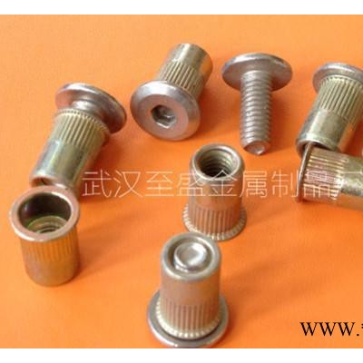 护栏配件 护栏常用螺丝配件 拉铆螺丝 拉铆枪图2