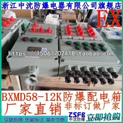 BXMD58-12K防爆照明动力配电箱直销 12路防爆配电箱带总开关图3
