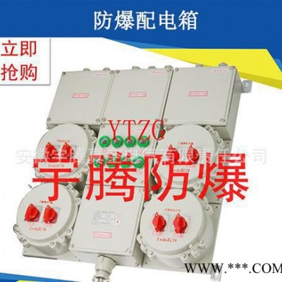 防爆配电箱 防爆配电箱 合肥防爆配电箱 配电箱图2