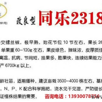 高产螺丝椒——同乐23188辣椒种子图8