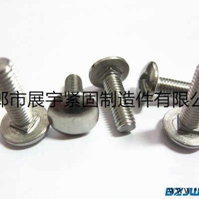 廊坊TYP新镇ICAL/标准马车螺丝,桥架螺丝,法兰母,电镀锌,配套螺母图2