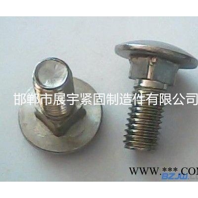 廊坊TYP新镇ICAL/标准马车螺丝,桥架螺丝,法兰母,电镀锌,配套螺母
