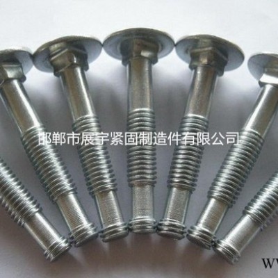 廊坊TYP新镇ICAL/标准马车螺丝,桥架螺丝,法兰母,电镀锌,配套螺母图6