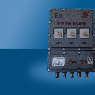 济南石天 聚锂隔爆型照明配电箱 车载照明电源 修井车照明电源图2