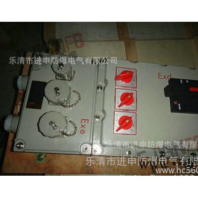 BXD防爆动力配电箱 非标防爆配电箱 防爆动力照明配电箱图3