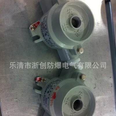 防爆检修箱、防爆动力配电箱、BXMD防爆照明配电箱图3