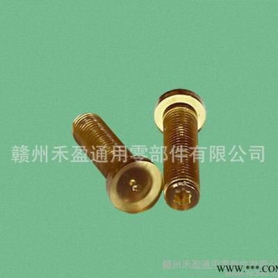 低价 塑料螺丝 塑胶尼龙圆头内梅花螺丝 M6x25-T 琥珀图2